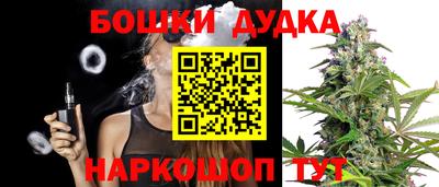 сатива Бийск