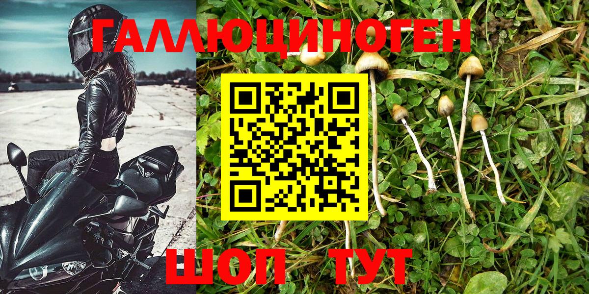 Псилоцибиновые грибы ЛСД  Солнечногорск  Галлюциногенные грибы GOLDEN TEACHER 